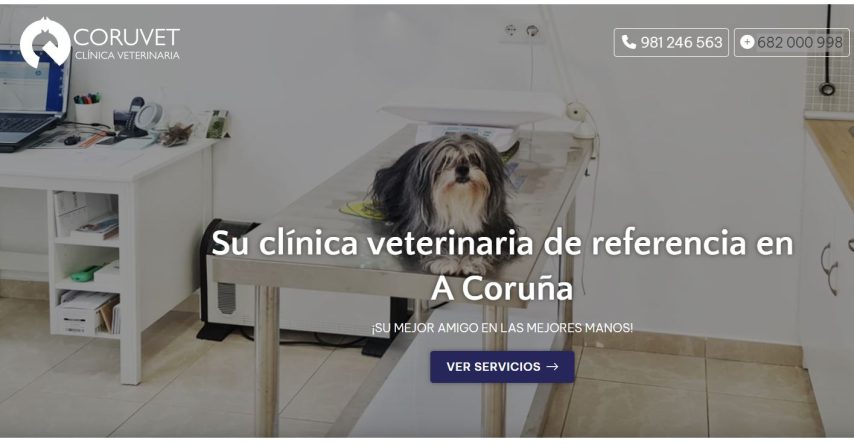 Clínica Veterinaria Coruvet mejor veterinario coruna