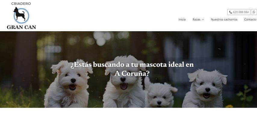 Estás buscando a tu mascota ideal en A Coruña Gran Can